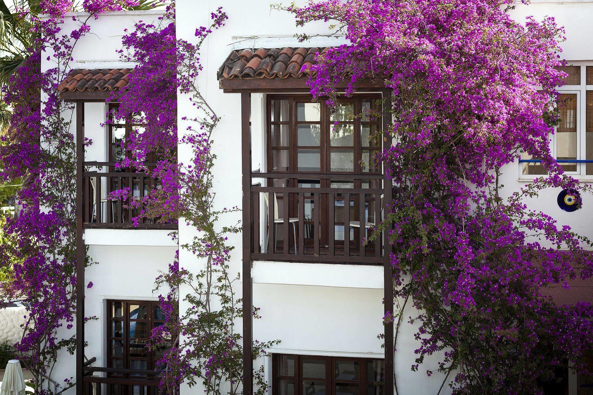 Orion Hotel Bitez Esterno foto